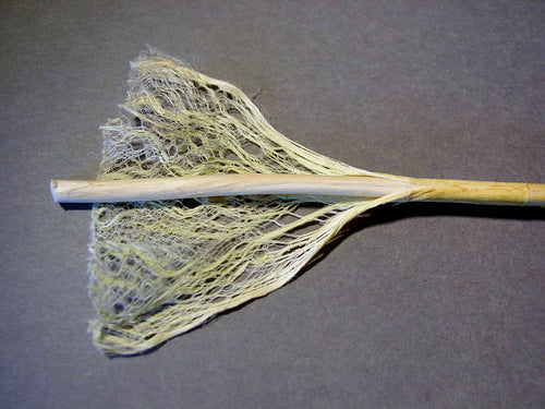 The Difference Between Hemp And Linen Fibers